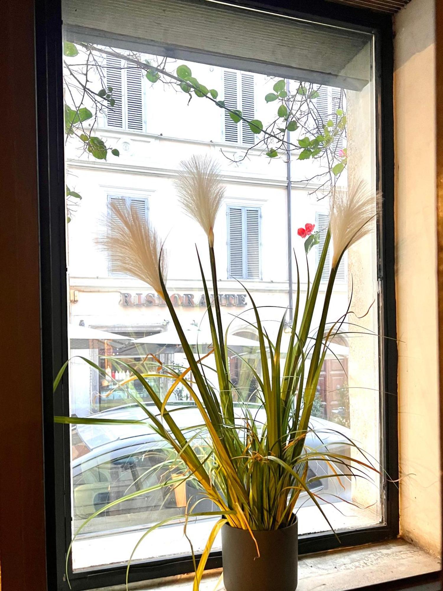 Romantic Wellness Apartment Colosseo Zewnętrze zdjęcie